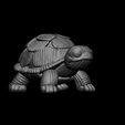 2.jpg Cute Potato Chip Turtle