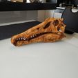 spinosaurus-dinosaur-skull-3d-printing-223628.jpg Spinosaurus Dinosaur Skull