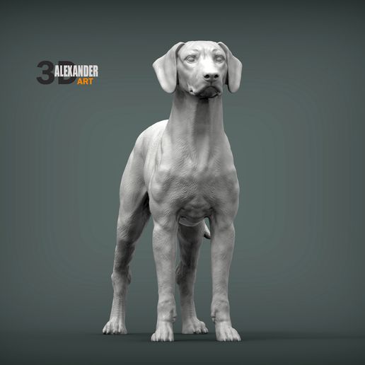 rhodesian-ridgeback2.jpg Rhodesian ridgeback 3D print model