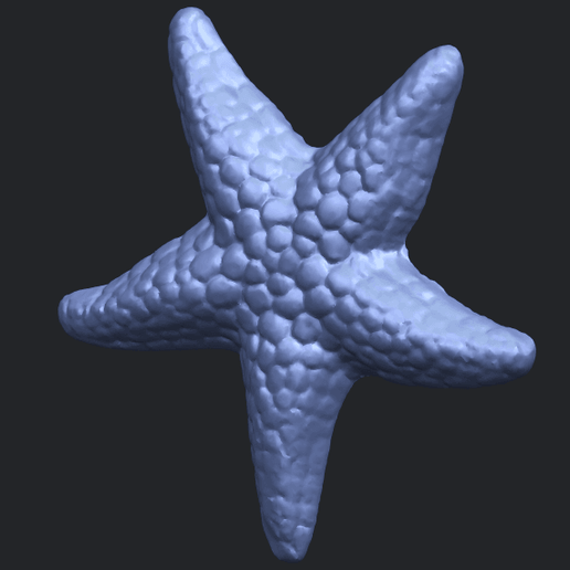 12_TDA0608_Starfish_02B02.png Download free file Starfish 02 • Template to 3D print, GeorgesNikkei