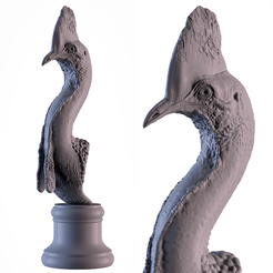 001.png STL-Datei Kasuar・Modell zum Herunterladen und 3D-Drucken