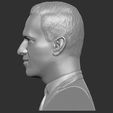 6.jpg Alexey Navalny bust 3D printing ready stl obj formats