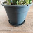 04.jpeg Base para Maceta