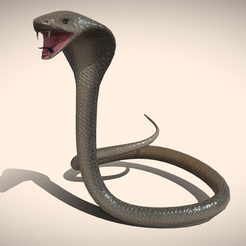 1.png King Cobra Snake