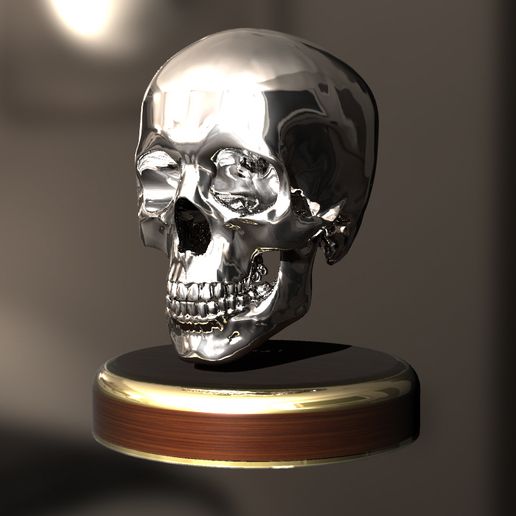 skull 3D model