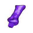 Manual_Phalange_Left_03.OBJ OBJ file Life size baby T-rex skeleton - Part 07/10・3D printer design to download