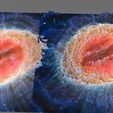 Ring-Nebula-MIRI-image-3.jpg Ring Nebula (MIRI image) James Webb