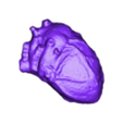 anatomicalHumanHeart.stl Anatomical Heart