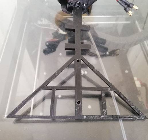 92996629_266331527717541_6222478477333889024_n.jpg RC Bird