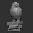 Screenshot_4.jpg Snowy owl on books