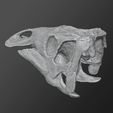 Maiasaura_skull04.jpg Fichier STL Jeune crâne de Maiasaura・Design imprimable en 3D à télécharger