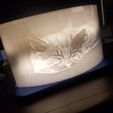 20191121_213517[1].jpg lithophane sleeping cat and holder for LED- stripe