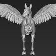 04.jpg Pegasus