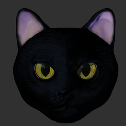 Draco.png Realistic 3D Cat face / Realistic 3D Cat face