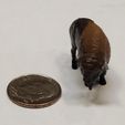 Bison