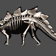 01.jpg stegosaurus, complete 3D skeleton.