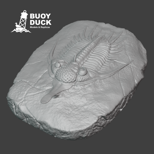 PsychopygeCover2.png Трилобит Psychopyge elegans