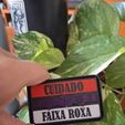 WhatsApp-Image-2026-04-01-at-22.12.30.jpeg Placa decorativa Jiu-Jitsu "FAIXA ROXA"