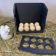 Rangement-stockage-porte-oeufs-4.jpg Egg storage - Egg holders - Egg carriers - Egg storage - Hen eggs - Refrigerator organization box