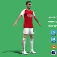 Vieira_2.jpg 3D Rigged Fabio Vieira Arsenal 2024