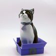 cults3d_cats2.jpg Schrodinky: British Shorthair Cat in a Box – 3D Printable, Multi Part Model - MULTI EXTRUSION PACKAGE