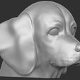 5.jpg Puppy of Beagle dog head for 3D printing