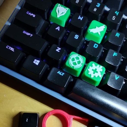 WhatsApp-Image-2023-08-16-at-7.17.59-PM.jpeg KEYCAPS SKYE - VALORANT