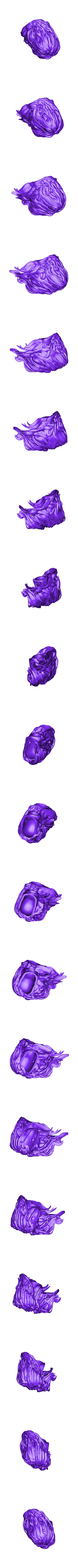 head and hairNFO.stl Terminator - ARRIVAL - by SPARX