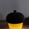 20251013_181803.jpg Knitted Acorn Light