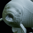 Carp-trophy-statue-43.png fish carp / Cyprinus carpio in motion trophy statue detailed texture for 3d printing