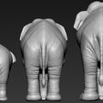 03.jpg Elephant asian