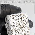 8.jpg Bone Sponge Printable