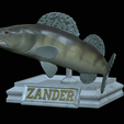 zander-open-mouth-tocenej-15.png fish zander / pikeperch / Sander lucioperca trophy statue detailed texture for 3d printing