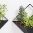 banner.jpg Triangle Planter