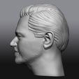 8.jpg Fichier 3D gratuit Bust Leonardo DiCaprio・Design imprimable en 3D à télécharger
