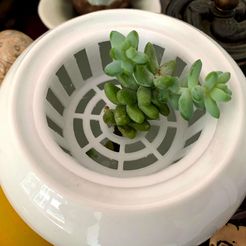 IMG_9314.jpg Free GCODE file Water plant basket・3D print design to download