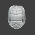 Screenshot-2025-01-01-113451.png turtle shell lamp