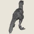 Snow-Raptor-Dinosaur-08.jpg Snow Raptor Dinosaur