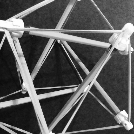 IMG_1784.JPG Tensegrity 顶盖