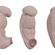 3_Weeks_Color.png 3 Weeks Human embryonic (baby stages)