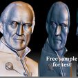 Tywin Lannister 3D portrait relief for CNC router.jpg Custom 3D portrait by your photo - bas-relief for CNC router