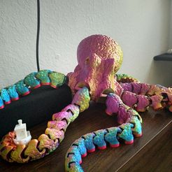 Octopus 2.0