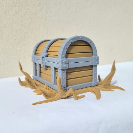 20250409_091427.jpg PIRATE CHEST WITH TENTACLES