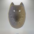 7.jpg Mask Two-Faced Good Dog