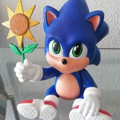 07.jpg STL-Datei Baby Sonic the Hedgehog - 3D FanArt・3D-druckbares Modell zum herunterladen, HIKO3D