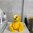 249883796_300190545305184_2566077638918184316_n.jpg Ours Pudsey