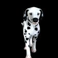 0_00005.jpg DOG - DOWNLOAD Dalmatian 3d model - Animated for blender-fbx- Unity - Maya - Unreal- C4d - 3ds Max - CANINE PET GUARDIAN WOLF HOUSE HOME GARDEN POLICE  3D printing DOG DOG