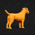 2213-Border_Terrier_Pose_01.jpg Border Terrier Dog 3D Print Model Pose 01