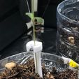 Tutor-Grow-2.jpeg Tutor para plantas