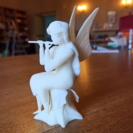 1604159573509.jpg Fairy musician